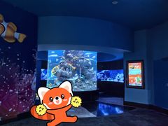 -成都浩海立方海洋公园