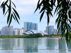 -天鹅湖体育公园