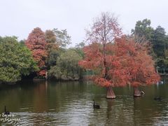 -深圳野生动物园