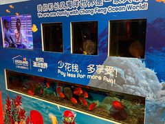 -上海乐高探索中心