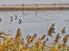 -野鸭湖国家湿地公园