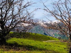 -中华福寿山