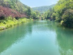 -桃花岭景区