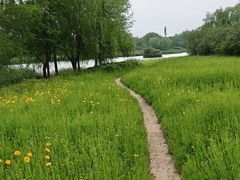 -贡湖湾湿地公园