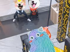 -运动派(北京店)