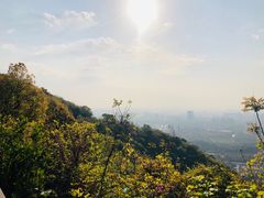 -杭州半山国家森林公园