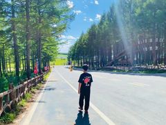 -塞罕坝国家级自然保护区