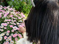 -上海鲜花港