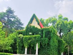 -黑龙江省森林植物园