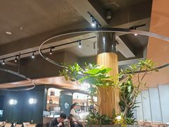 -gaga(深圳京基KKMALL店)