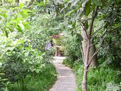 小径-山外山·林语花园餐厅