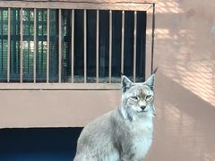 -青藏高原野生动物园