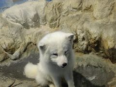 -顺德南宏海立方海洋公园