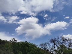 -北京西山国家森林公园