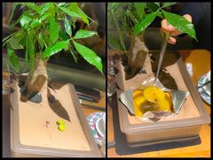-不贰小院(余姚多元文化创意园店)