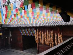 -云南民族村