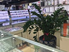 -三叶眼镜城(八佰伴店)