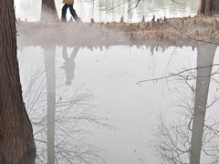 -东湖落雁景区