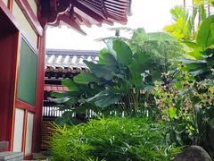-新加坡佛牙寺龙华院