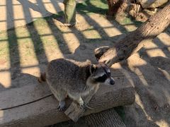 -南京金牛湖风景区