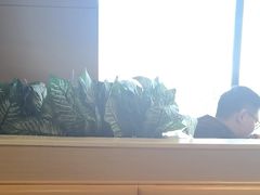 -麦当劳(军博店)