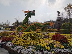 -南山植物园