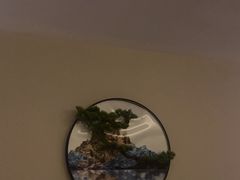 -耳域躺式采耳SPA馆(新街口店)