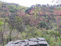 -木兰云雾山