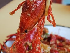 -小田油焖小龙虾(双井店)