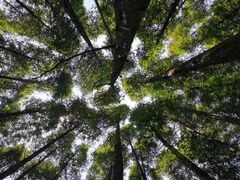 -山王坪喀斯特国家生态公园