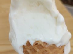 -野人先生Gelato(上海长宁龙之梦店)