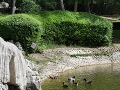 -香山公园-东宫门售票处