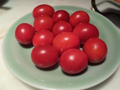 -锦府盐帮·李宅(领展购物广场中关村店)
