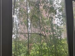 -竹吟山房