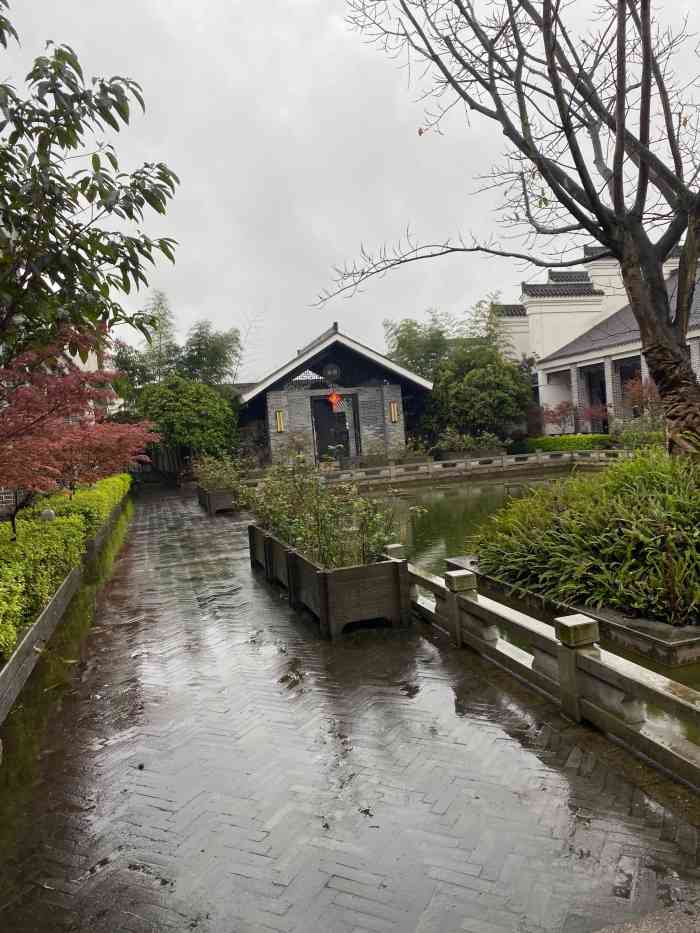 西岛山庄-"端午节和朋友几家人过来采摘钓鱼. ."-大众点评移动版