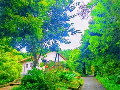 -广州市白云山风景名胜区