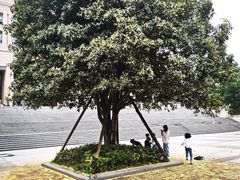 -重庆工商大学(南岸校区)