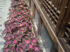 -大妙火锅·非物质文化遗产(东湖公园店)