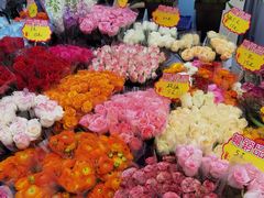 -循礼门鲜花花市(武汉循礼门店)