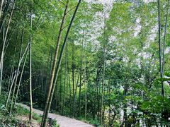 -天目湖涵田度假村