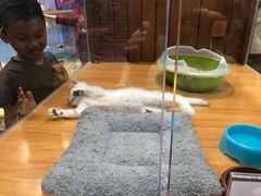 -龟与熊猫宠物公园(南坪店)