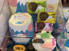 -富士山吉田線五合目