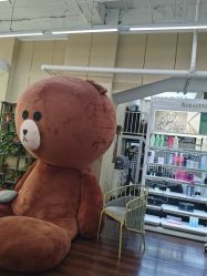 -JM STYLE造型明星.网红