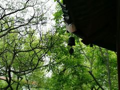 -汇龙潭