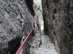 -天女山森林公园