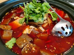 全家福毛血旺-马旺子酒楼