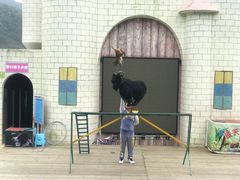 -瓷天下海丝谷