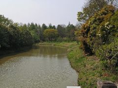 -上海海湾国家森林公园