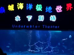 -泉城欧乐堡海洋极地世界