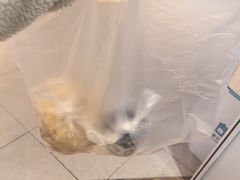 -多乐之日(和平伊势丹店)